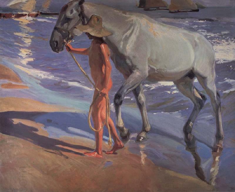 Joaquin Sorolla Y Bastida The bathing of the horse oil painting picture